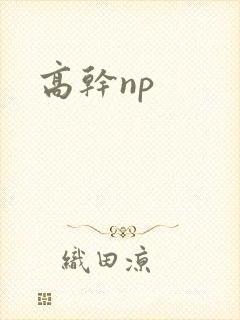 高干np
