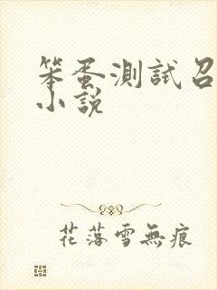笨蛋测试召唤兽小说