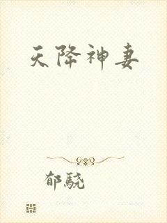天降神妻