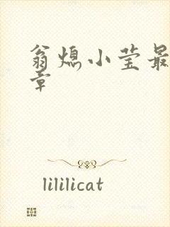 翁熄小莹最新节章封面