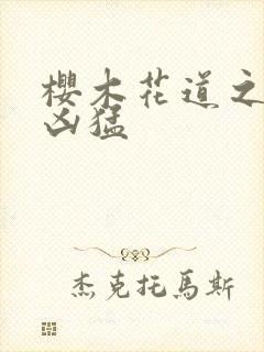 樱木花道之重生凶猛