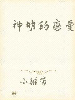 神明的恋爱游戏