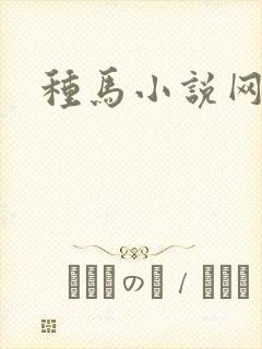种马小说网