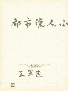 都市猎人小说