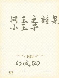 网王之谁是我的小王子