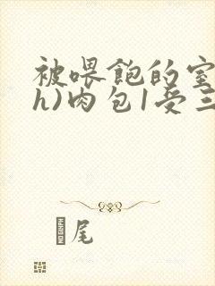 被喂饱的室友(h)肉包1受三攻