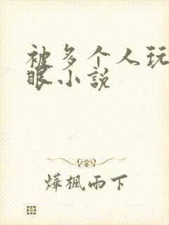 被多个人玩屁股眼小说封面