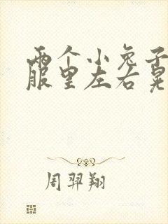 两个小兔子在衣服里左右晃