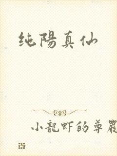 纯阳真仙