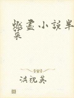 燃尽小说半截白菜