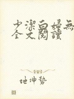 少洁白妇无删减全文阅读