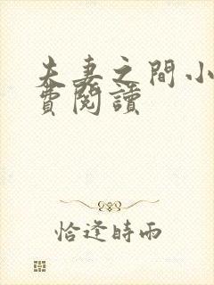 夫妻之间小说免费阅读