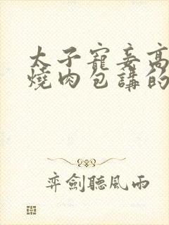 太子宠妾高肉红烧肉包讲的什么