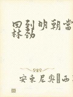 回到明朝当王爷林劲