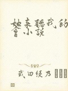 她来听我的演唱会小说