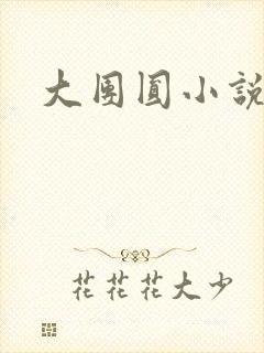 大团圆小说