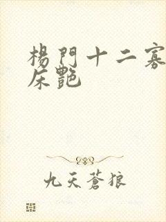 杨门十二寡妇肉床艳