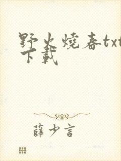 野火烧春txt下载