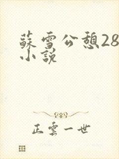 苏雪公憩28篇小说