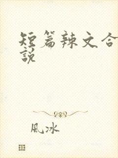 短篇辣文合集小说