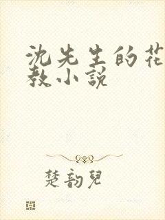 沈先生的花式管教小说