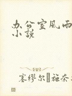 办公室风雨完整小说