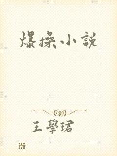 爆操小说
