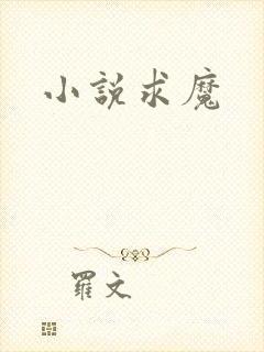 《小说求魔》小说封面