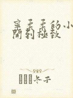 宁柔柔的小泬撑开到极致