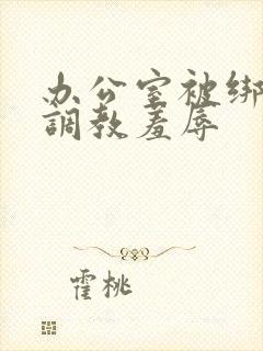 办公室被绑奶头调教羞辱