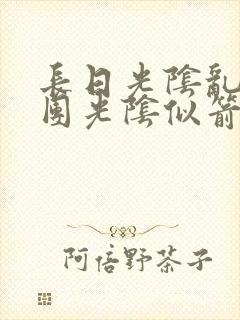 长日光阴乱作一团光阴似箭眇眇翟