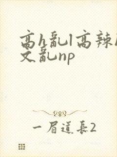 高h乱l高辣h文乱np