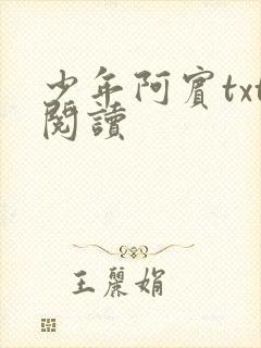 少年阿宾txt阅读
