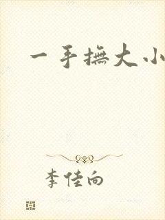一手抚大小说