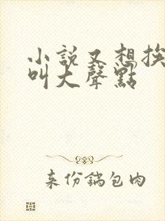 小说又想挨C了叫大声点