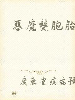 恶魔双胞胎封面