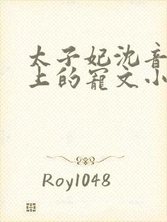 太子妃沈音和皇上的宠文小说