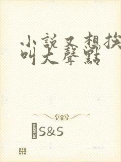 小说又想挨C了叫大声点