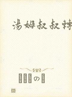 汤姆叔叔转接口