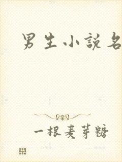 男生小说名字
