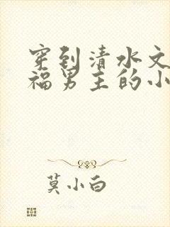 穿到清水文里造福男主的小说