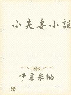 小夫妻小说