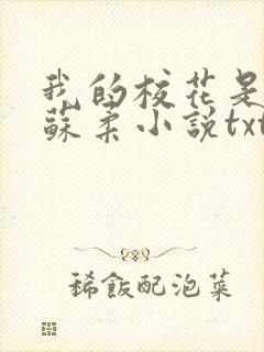 我的校花是福姬苏柔小说txt