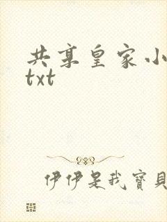 共享皇家小公主txt