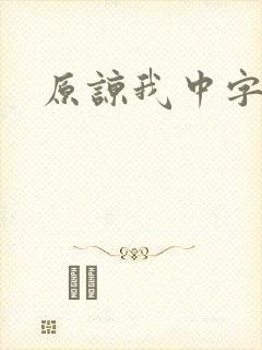 原谅我中字封面