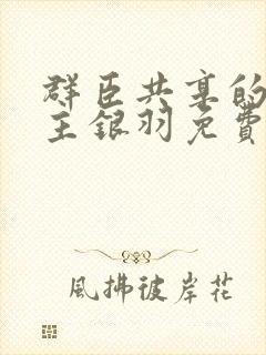 群臣共享的小公主银羽免费阅读