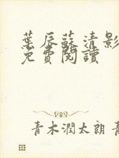 叶辰苏清影全文免费阅读