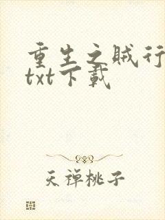 重生之贼行天下txt下载