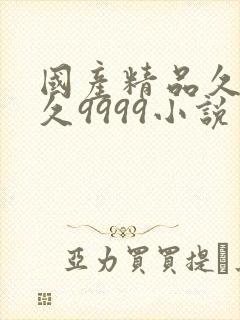 国产精品久久久久9999小说