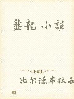 盘龙 小说